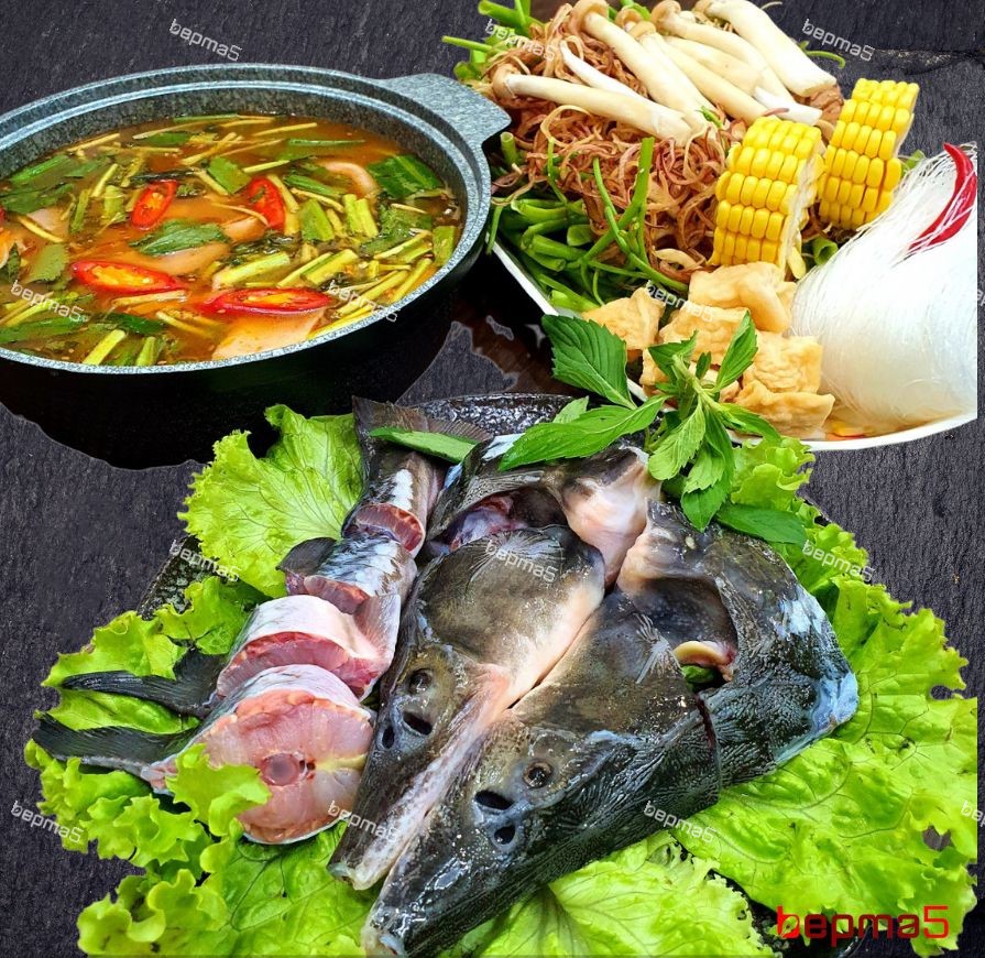 Lẩu cá tầm nguyên con