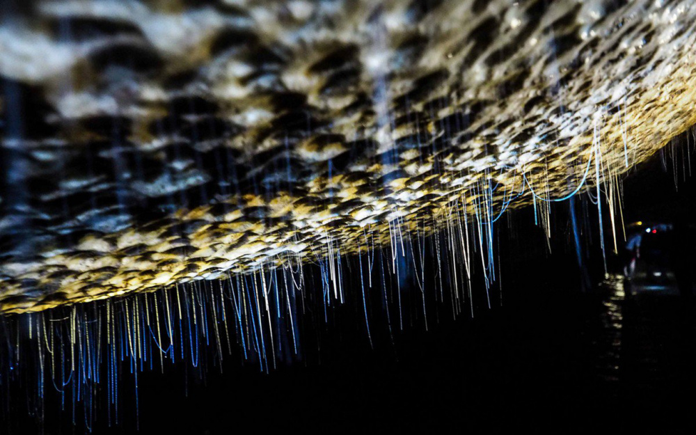 Khám phá vẻ đẹp ma mị của Hang Thẳm Phầy