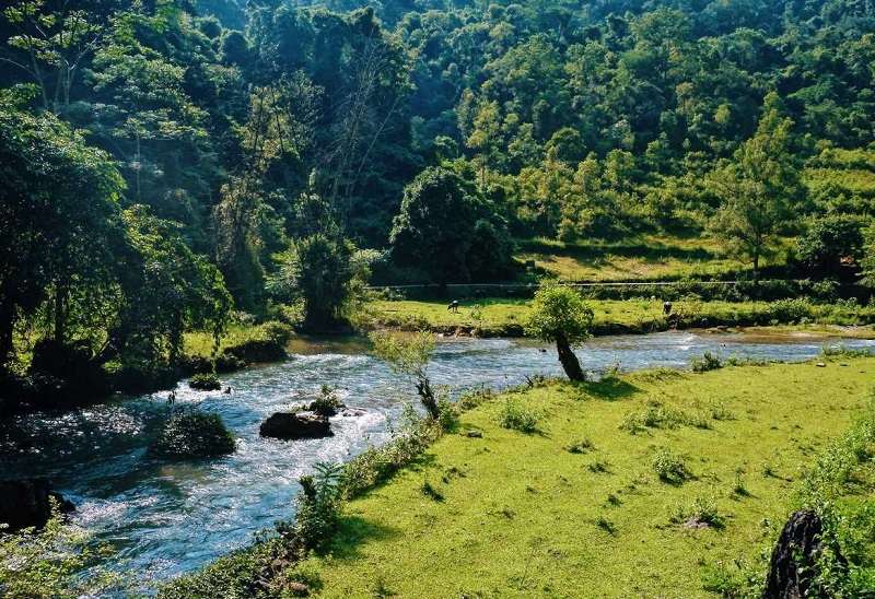 Khám phá Thác Nặm Trá – Tuyệt tác thiên nhiên hùng vĩ