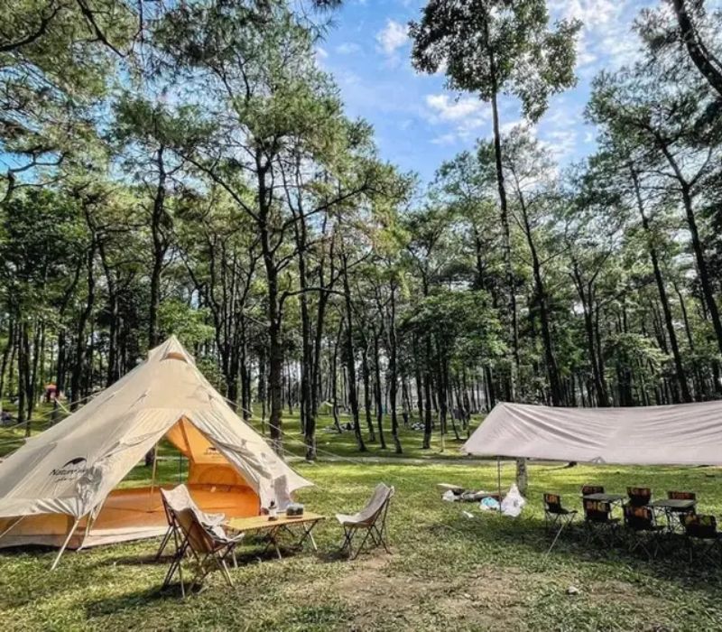 Kinh nghiệm du lịch sinh thái tại vườn Quốc gia Vũ Quang Hà Tĩnh