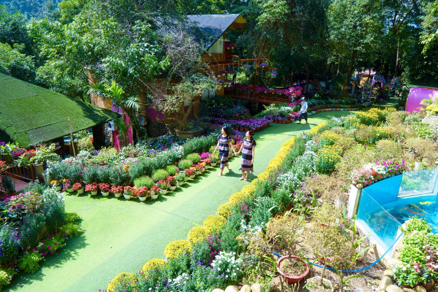 Tour Quy Nhơn - Suối Chí (Quảng Ngãi) 1 ngày: Khám phá thiên nhiên kỳ vĩ - Công ty du lịch Quy Nhơn Tourist