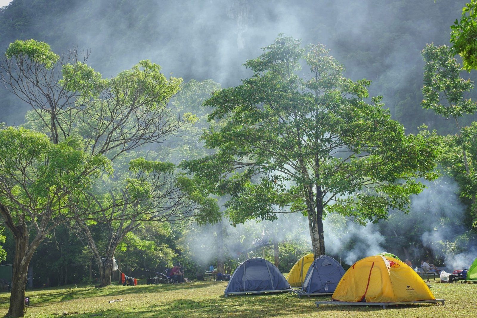 Tour du lịch Quảng Bình 2 ngày 1 đêm: Động Phong Nha - Ozo Park/Suối Nước Moọc/ Sông Chày Hang Tối/Thung Lũng Hava - Vũng Chùa Đảo Yến - Đá Nhảy -