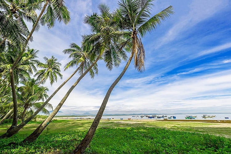 Xã đảo Tam Hải - Khám phá hòn ngọc TUYỆT ĐẸP của Quảng Nam