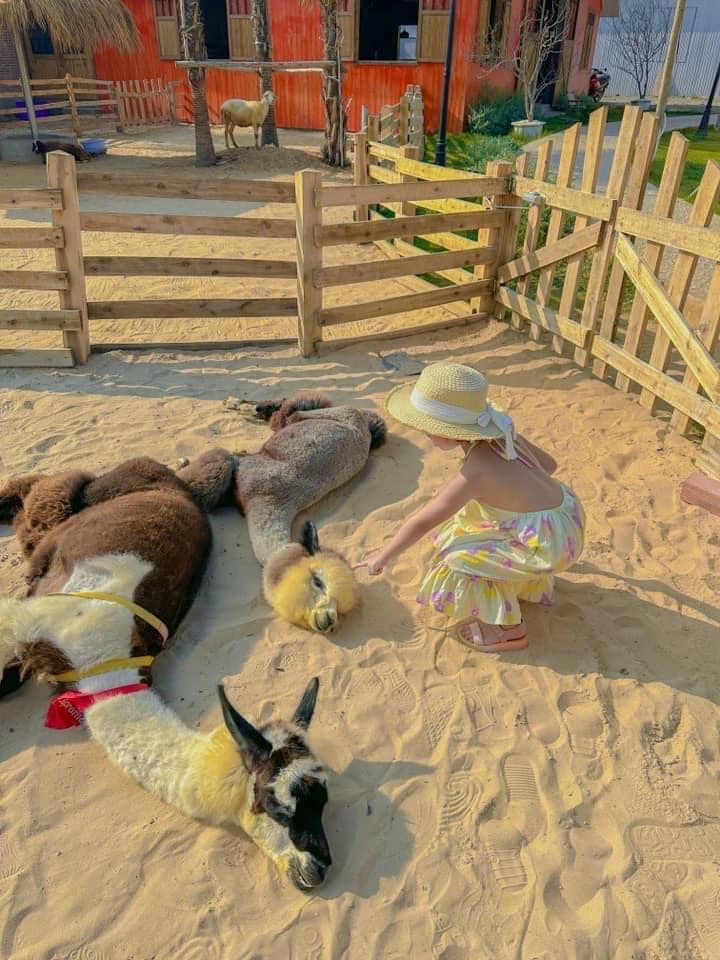 Hanna Beach - Quán cà phê như "vườn thú" nằm ngay bờ biển Mũi Né - Du Lịch Chất