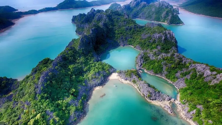 Khám phá Vườn Quốc Gia Bái Tử Long Có Gì ? – Vivu Halong