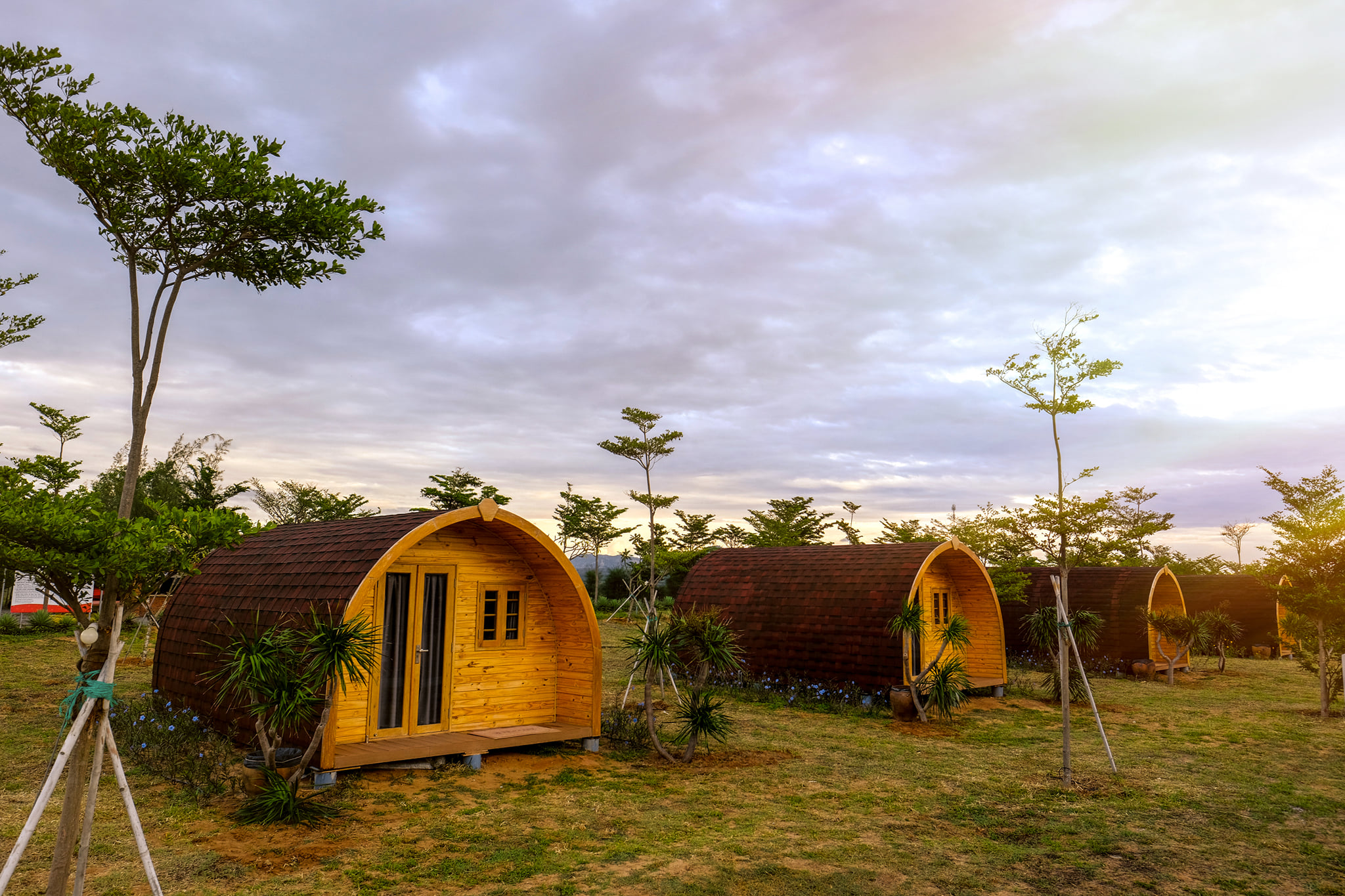 Tận Hưởng Trải Nghiệm Glamping Tại Khu Du Lịch Tanyoli Mũi Dinh | GLAMPTRIP