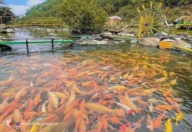 Suối cá vàng” Khe Tọ hút khách du lịch - Đài phát thanh và truyền ...