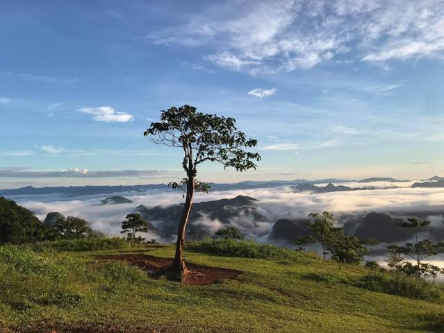Khu du lịch đồi hích - ExoTrails: Khám phá