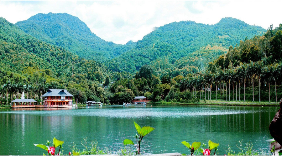 Tour Ao Vua Ba Vì Giá Rẻ Review Kinh Nghiệm Du Lịch 2026 - Tour.Pro.Vn